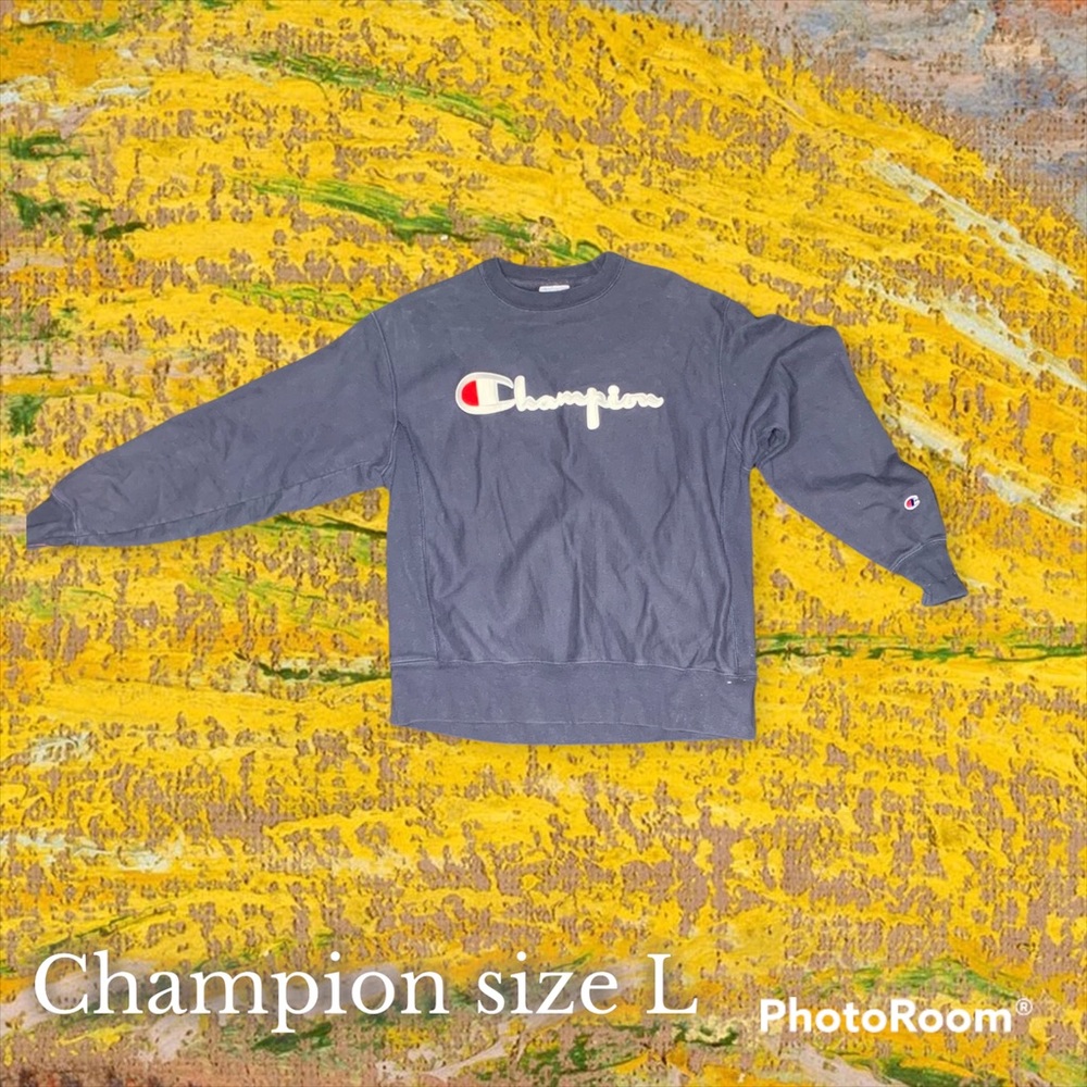 Champion crew neck